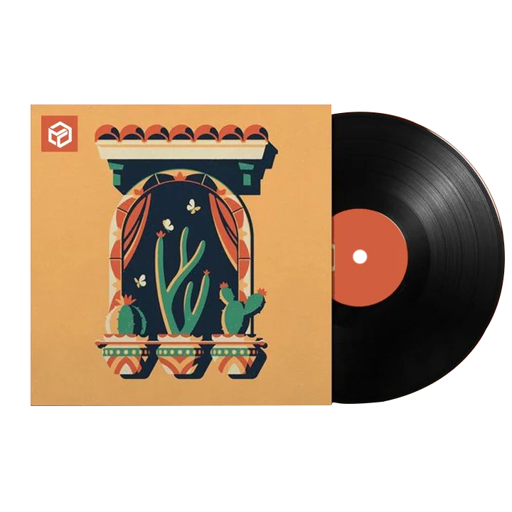 custom vinyl record mailers