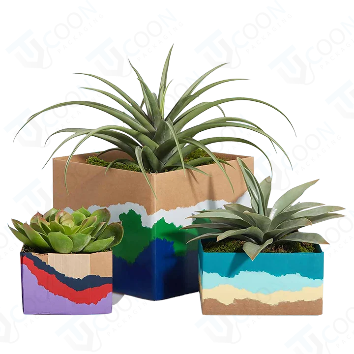 custom printed rainbow plant cardboard boxes