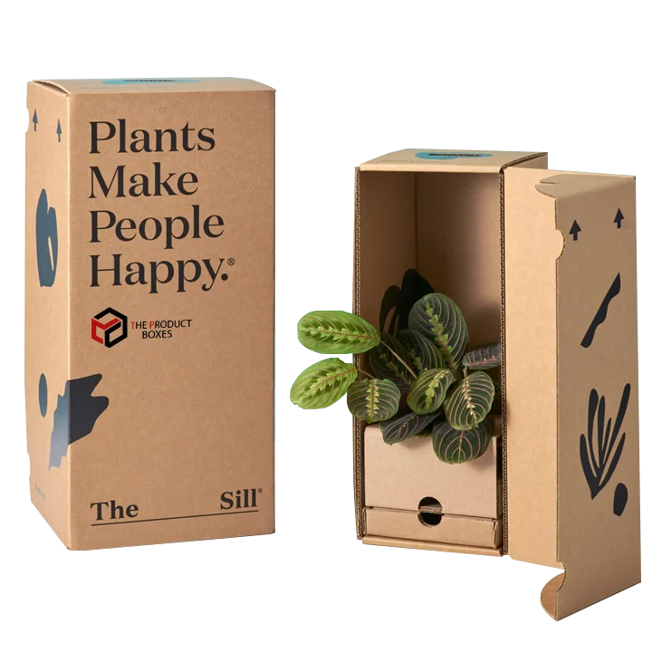 plant cardboard boxes